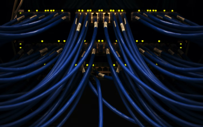 Secure Your Business’ Future with Dedicated Server Hosting